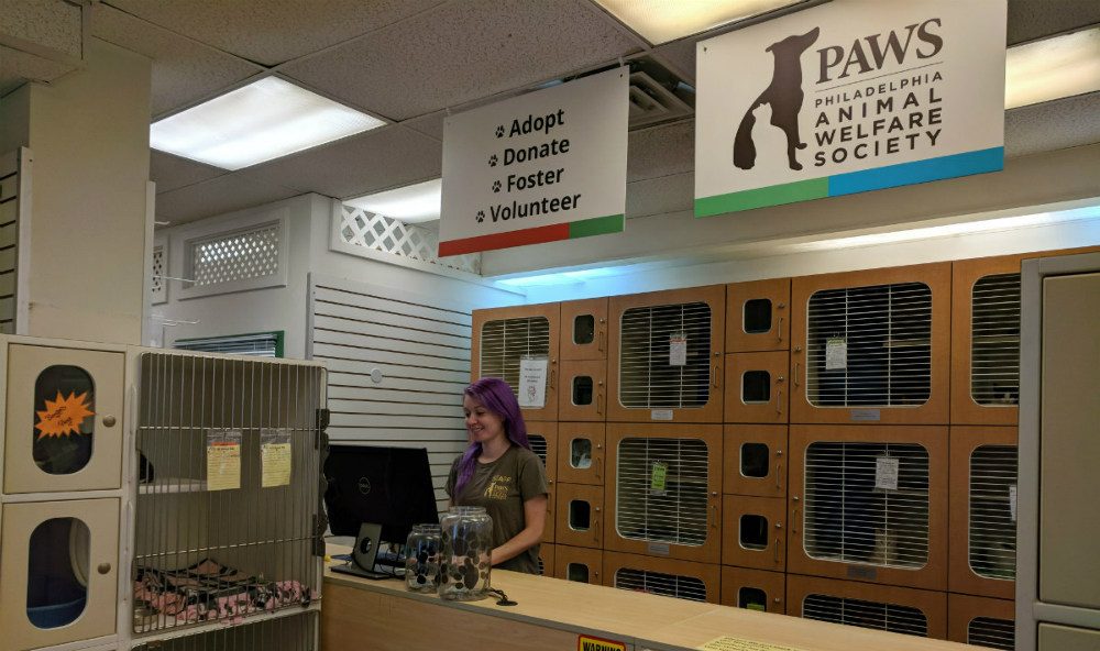 Adoption Center