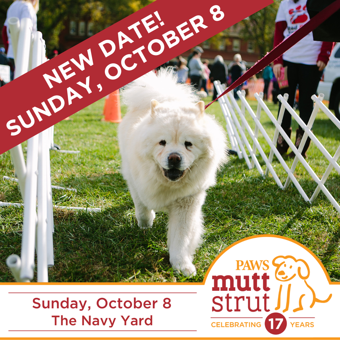 Mutt Strut: PAWS to host dog costume contest, fundraiser at Navy Yard