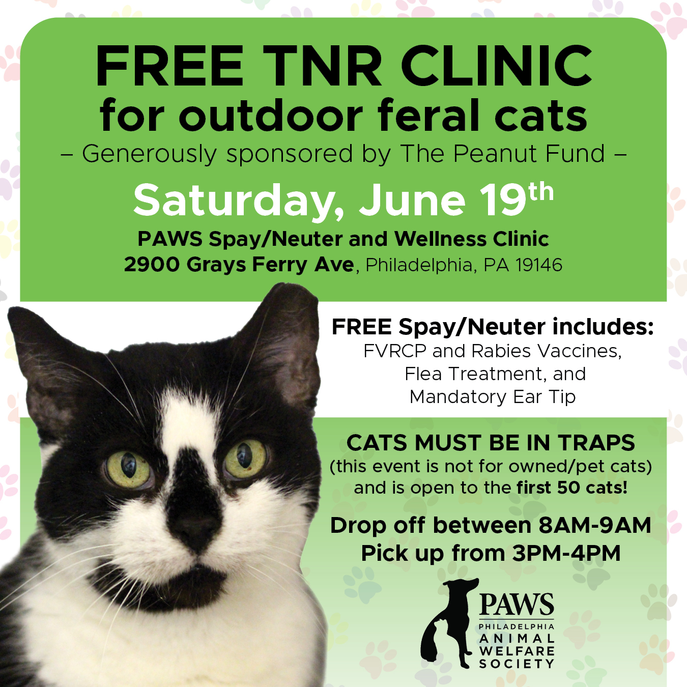 Free spay neuter store for feral cats