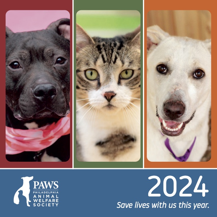 PAWS’ 2024 Calendars Are Here!